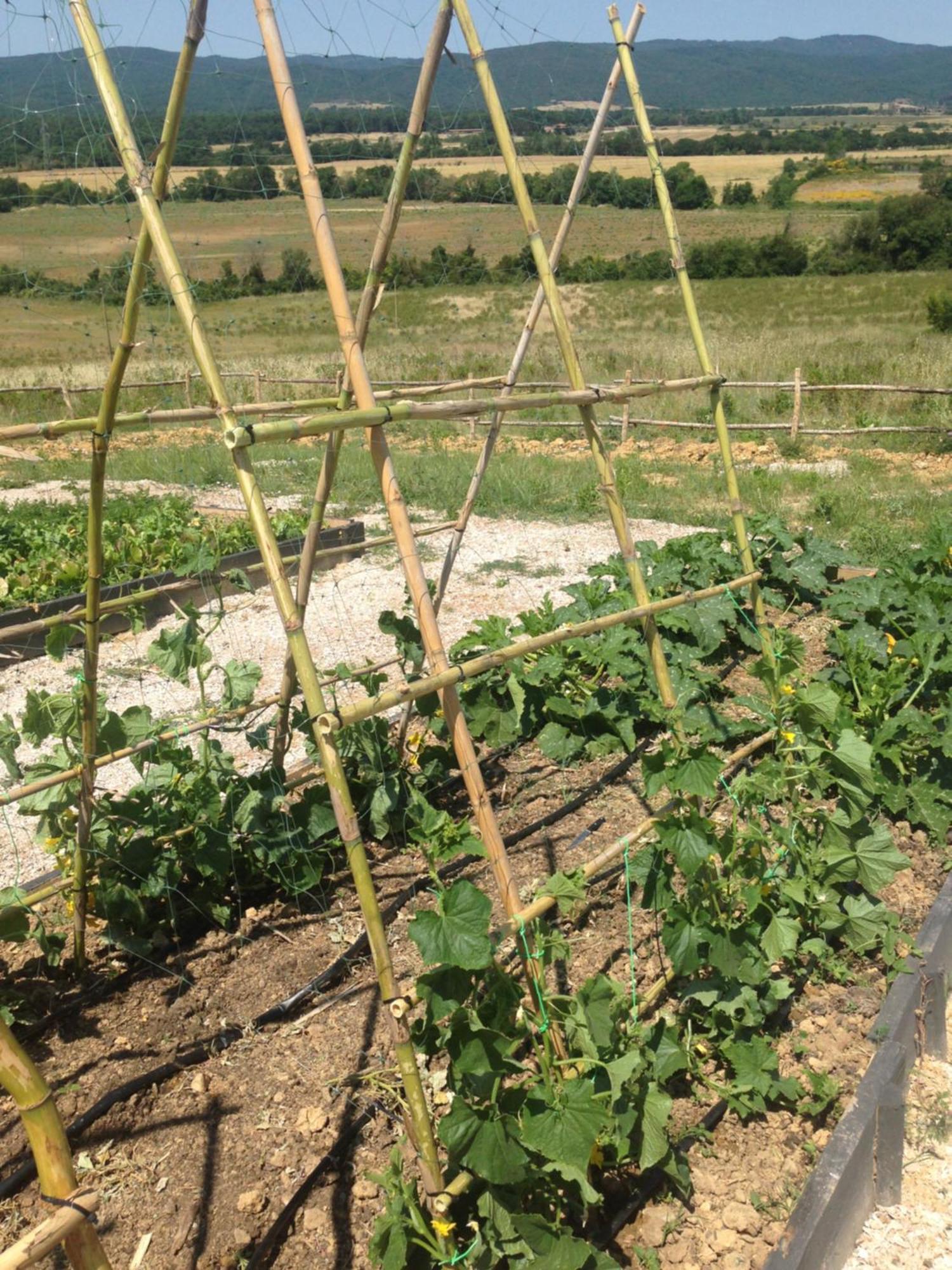 Ribolla Wine Resort Conti Di San Bonifacio المظهر الخارجي الصورة