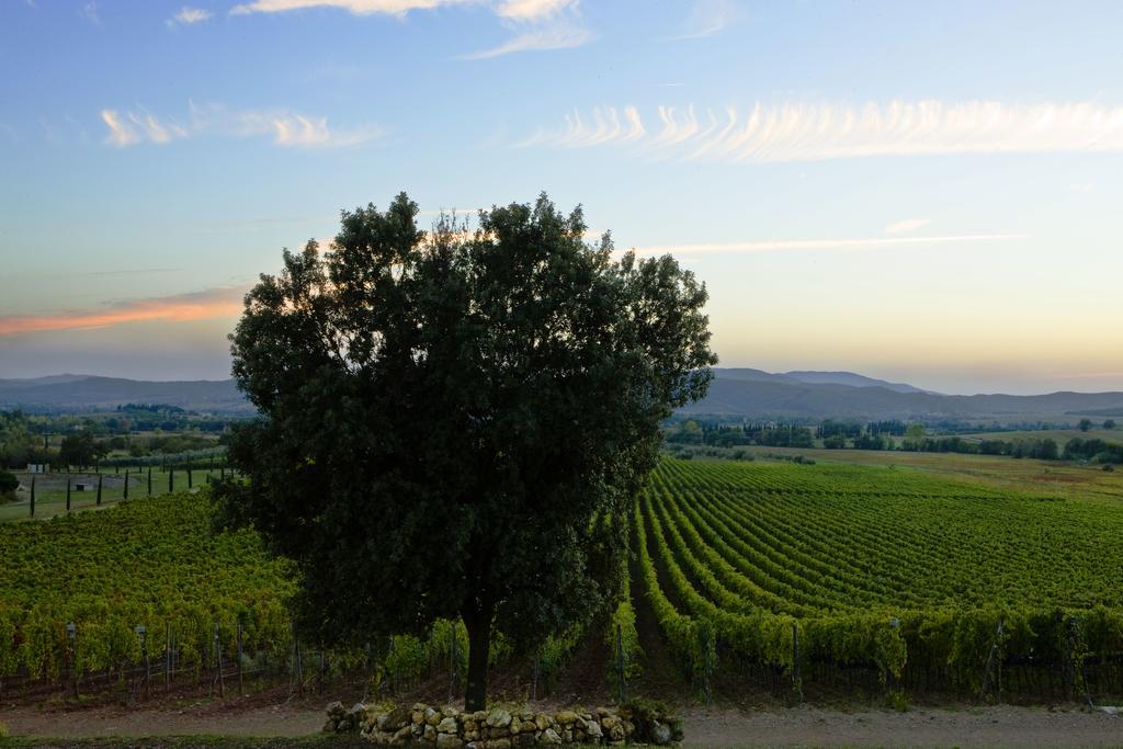 Ribolla Wine Resort Conti Di San Bonifacio المظهر الخارجي الصورة
