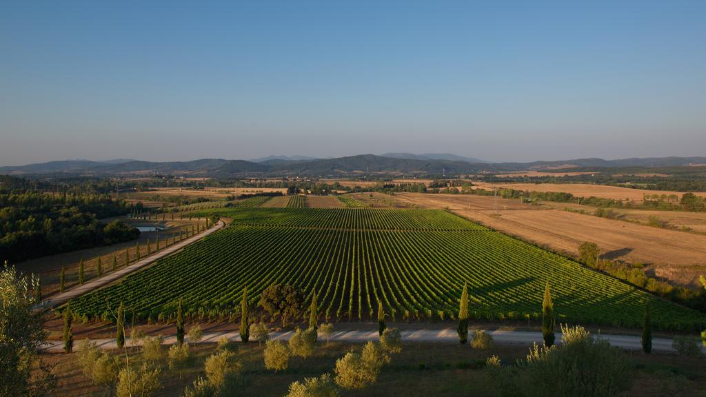 Ribolla Wine Resort Conti Di San Bonifacio المظهر الخارجي الصورة