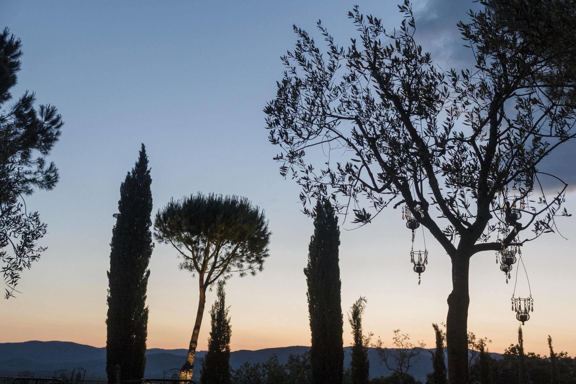 Ribolla Wine Resort Conti Di San Bonifacio المظهر الخارجي الصورة