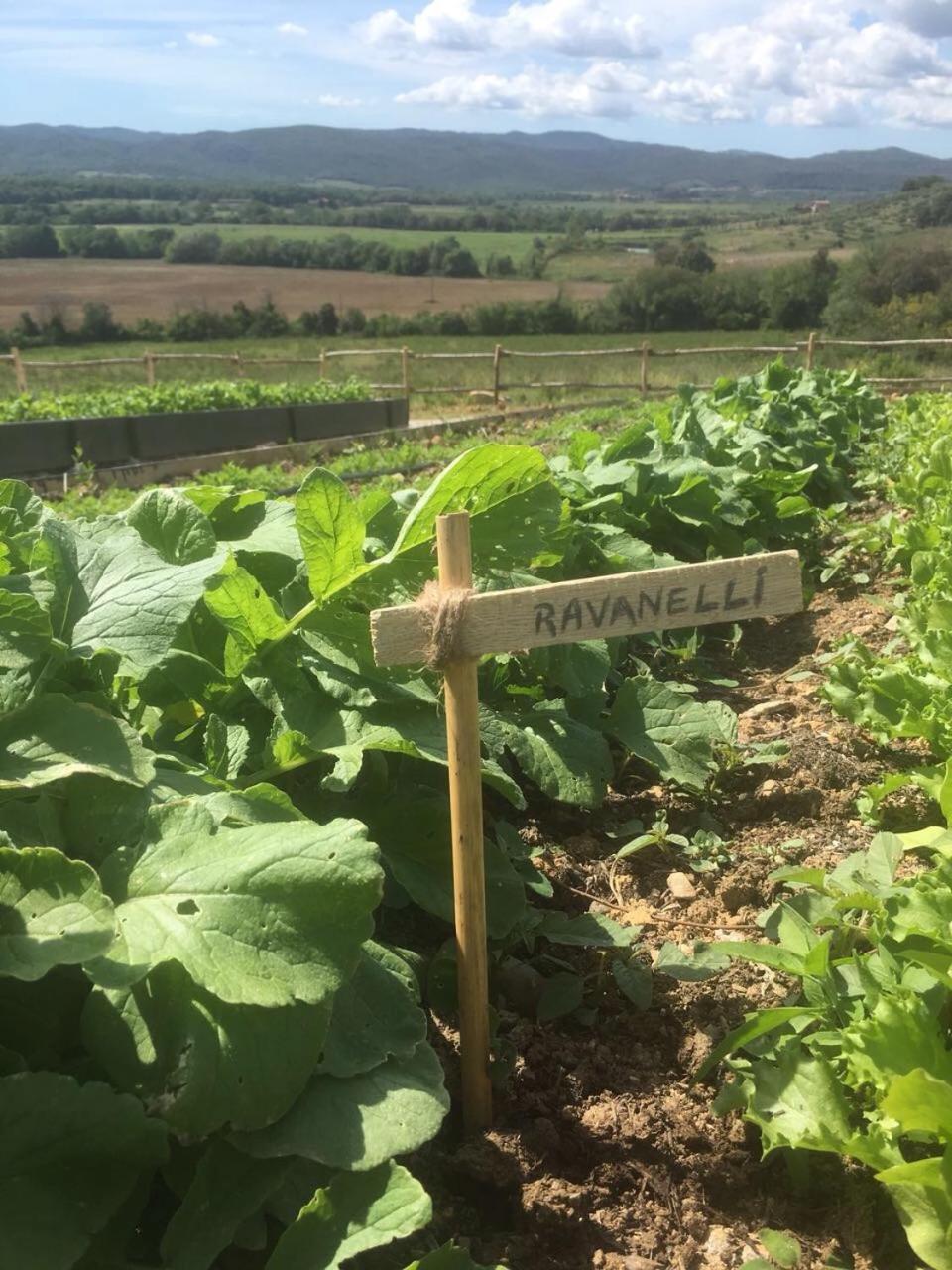 Ribolla Wine Resort Conti Di San Bonifacio المظهر الخارجي الصورة